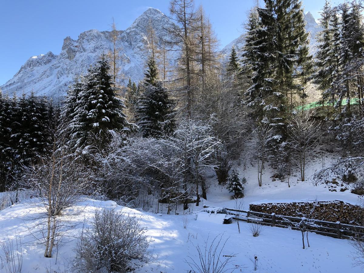 Haus Sonnenspitze - Fam. Nessler Lägenhet Biberwier Exteriör bild
